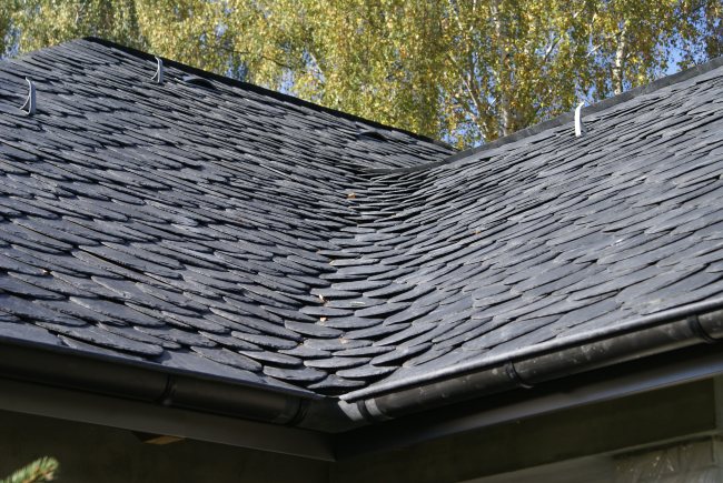 dzikie krycie łupkiem ibero