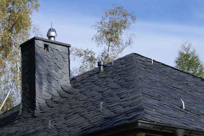 łupek dzikie krycie